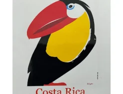 Best Sale Atelier - Costa Rica Tarrazu Atelier Spezialitäten